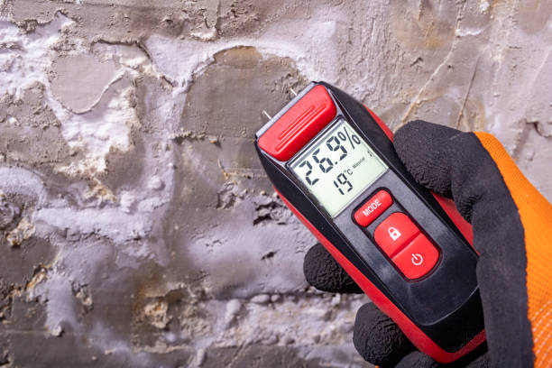 Best Preventive Mold Services in Stamford, TX