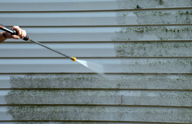 Best Mold Remediation for Specific Building Types in Stamford, TX