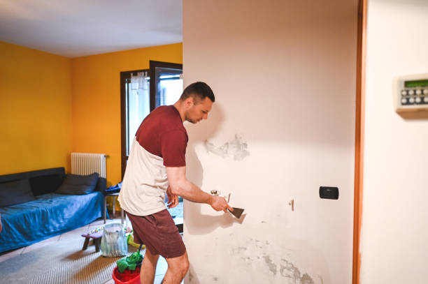 Best Bathroom Mold Remediation in Stamford, TX